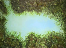 Load image into Gallery viewer, Lush